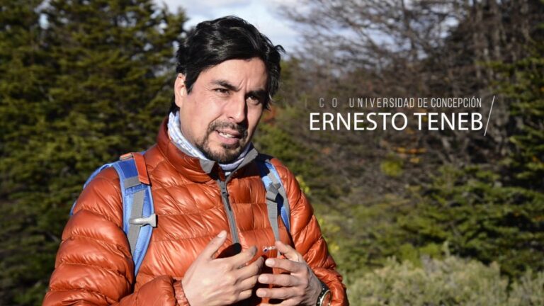 Explorando los Bosques Subantárticos del Parque Nacional