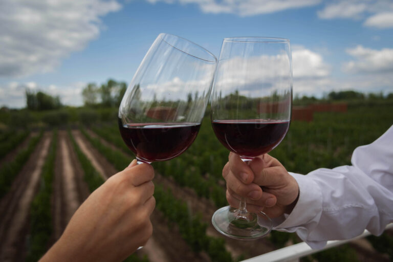 Importancia del clima y suelo en la producci&oacute;n de vinos de Mendoza