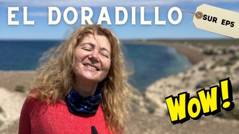 Explorando las Playas de Puerto Madryn: Gu&iacute;a Completa