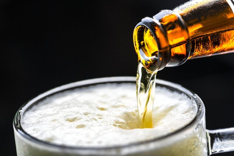 La Evoluci&oacute;n de la Cerveza en Argentina