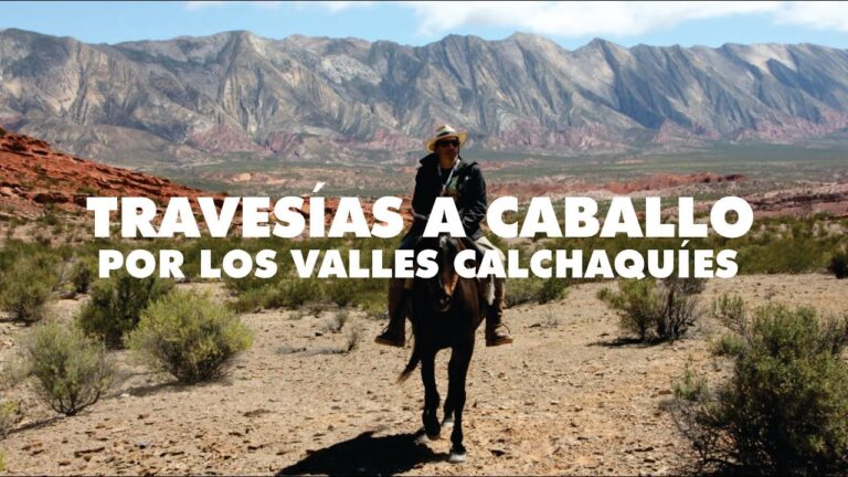 Explora el Valle de Lerma a Caballo