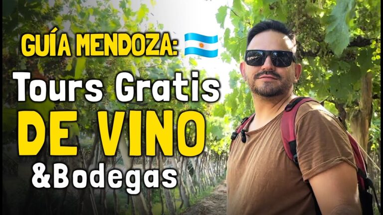 Explora los Mejores Recorridos Vin&iacute;colas en Argentina