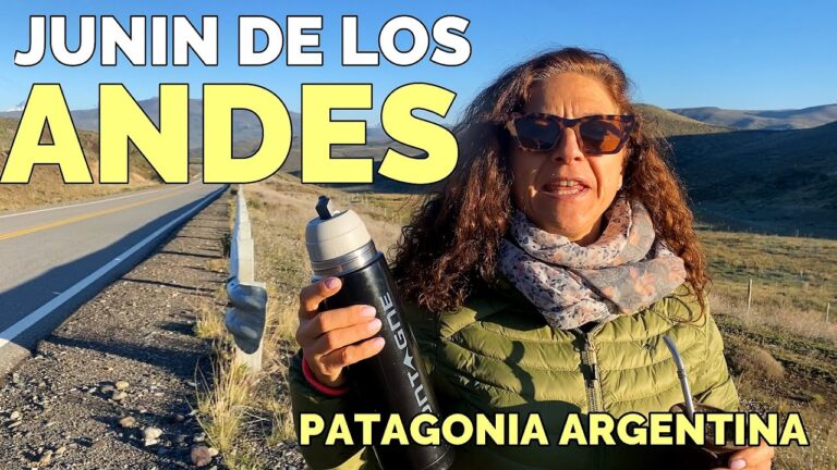 Deliciosos quesos artesanales de la Patagonia: una experiencia &uacute;nica en sabores