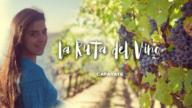 Explorando los Caminos del Vino en Salta