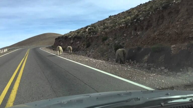 Explorando las Salinas Grandes: Una Aventura &Uacute;nica