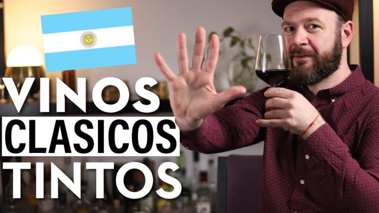 El mundo de los vinos tintos argentinos: una gu&iacute;a esencial