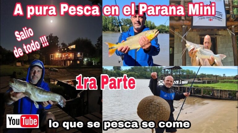 Guía de pesca en el delta del Paraná
