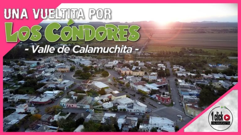 C&oacute;ndores en C&oacute;rdoba: Majestuosas aves en peligro de extinci&oacute;n