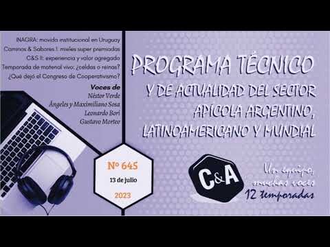 Explora las mejores ferias y mercados en Tandil