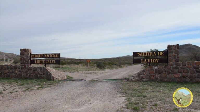Explorando las Sorpresas de Lihue Calel