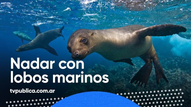 Explorando la Reserva Natural Punta Loma