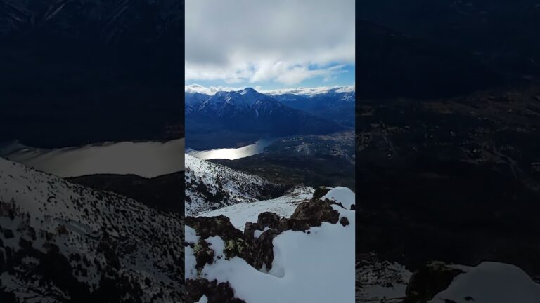 Flora autóctona del Glaciar Martial: Una mirada al ecosistema único