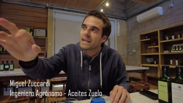 Degustaciones de aceite de oliva premium en Argentina: Experiencias exclusivas