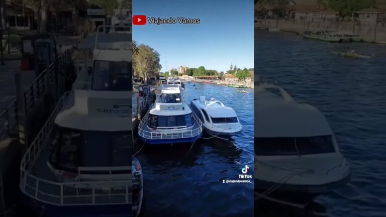 Destinos imperdibles en la Reserva Costanera Sur