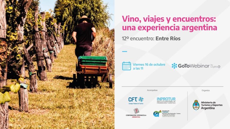 Explorando el Enoturismo en Buenos Aires