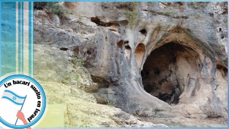 Descubriendo la Cueva de los Leones