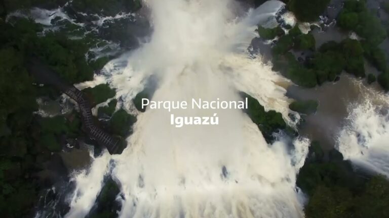 Importancia de los humedales en el Parque Nacional Iguazú