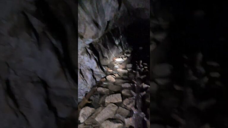Cueva de los Leones: Un Destino Imperdible