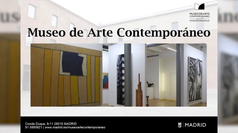 Nuevas Voces: Artistas Emergentes en el Museo de Arte Contempor&aacute;neo
