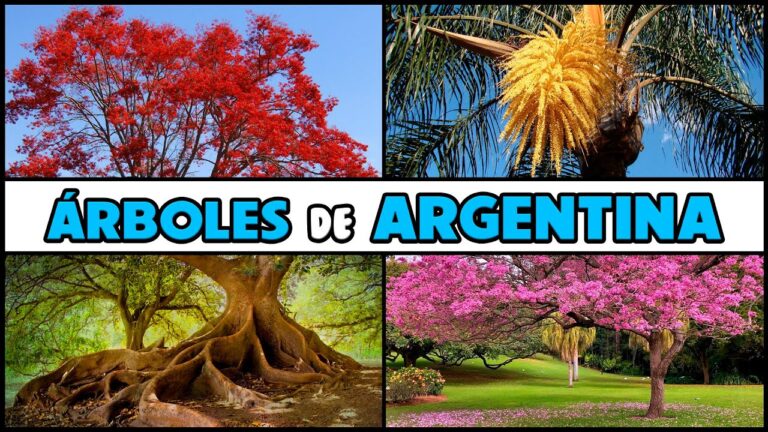 Flora autóctona de Argentina: Un tesoro natural