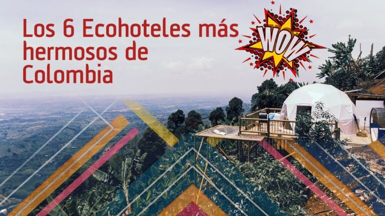 Alojamientos ecol&oacute;gicos: la mejor opci&oacute;n para el turismo de naturaleza