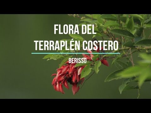 La asombrosa diversidad paisaj&iacute;stica de la Patagonia
