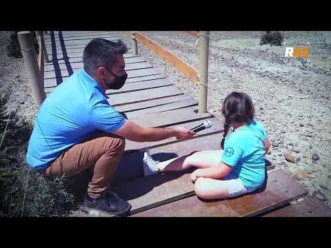 Ping&uuml;inos en Chubut: Un tesoro de la naturaleza