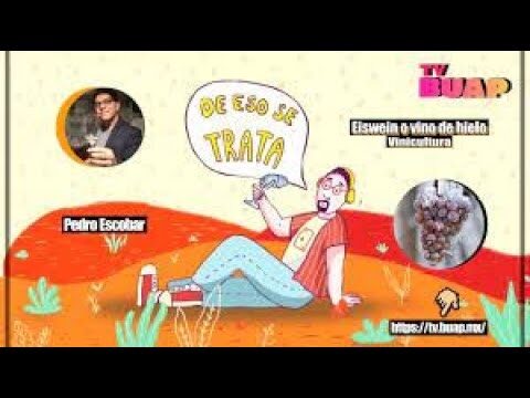 Experiencias enol&oacute;gicas exclusivas en Argentina