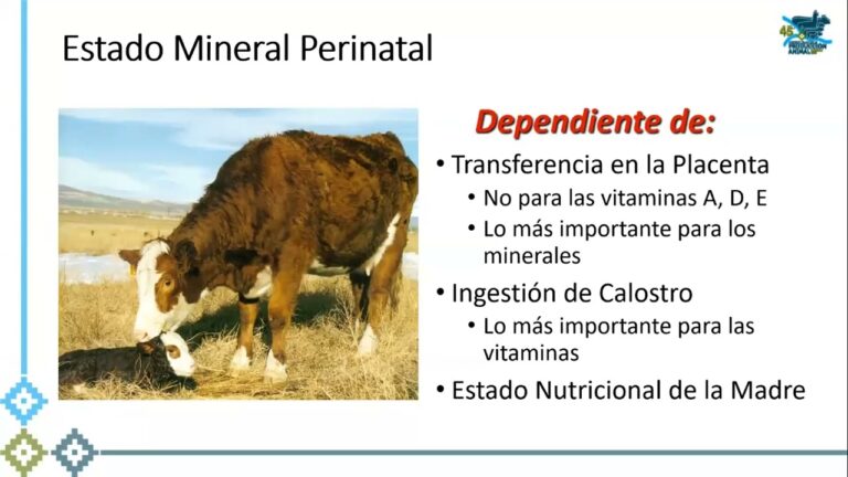 Delicias culinarias de la pampa h&uacute;meda