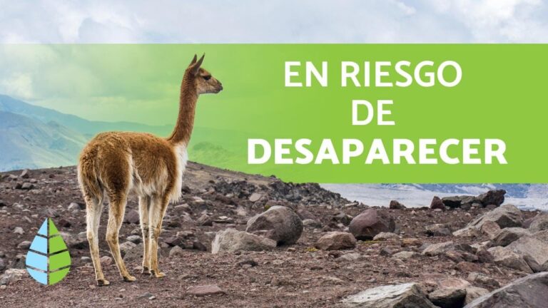 Fauna en peligro: amenazas en la zona