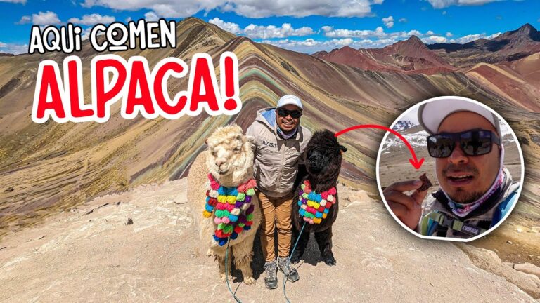 Explorando la diversidad de colores y formas en la montaña