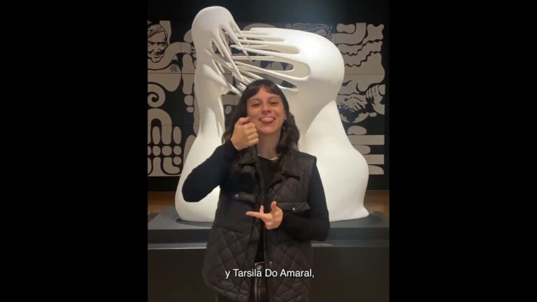Mejorando la Accesibilidad en el MALBA
